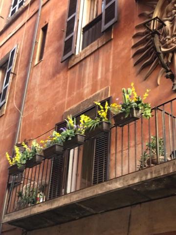 Charme Luxury Flat Campo Dei Fiori Apartamento Roma