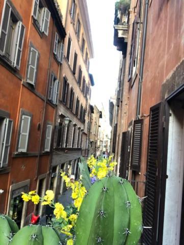 Charme Luxury Flat Campo Dei Fiori Apartamento *
