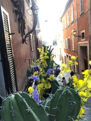 Charme Luxury Flat Campo Dei Fiori Roma